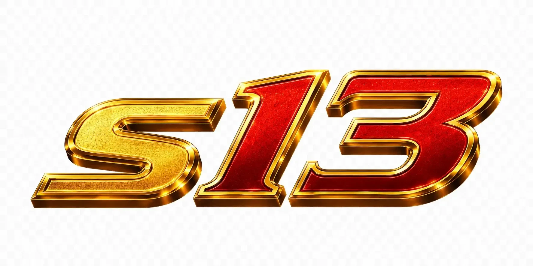 s13